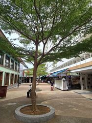 70A GEYLANG BAHRU (D12), Shop House #531147761